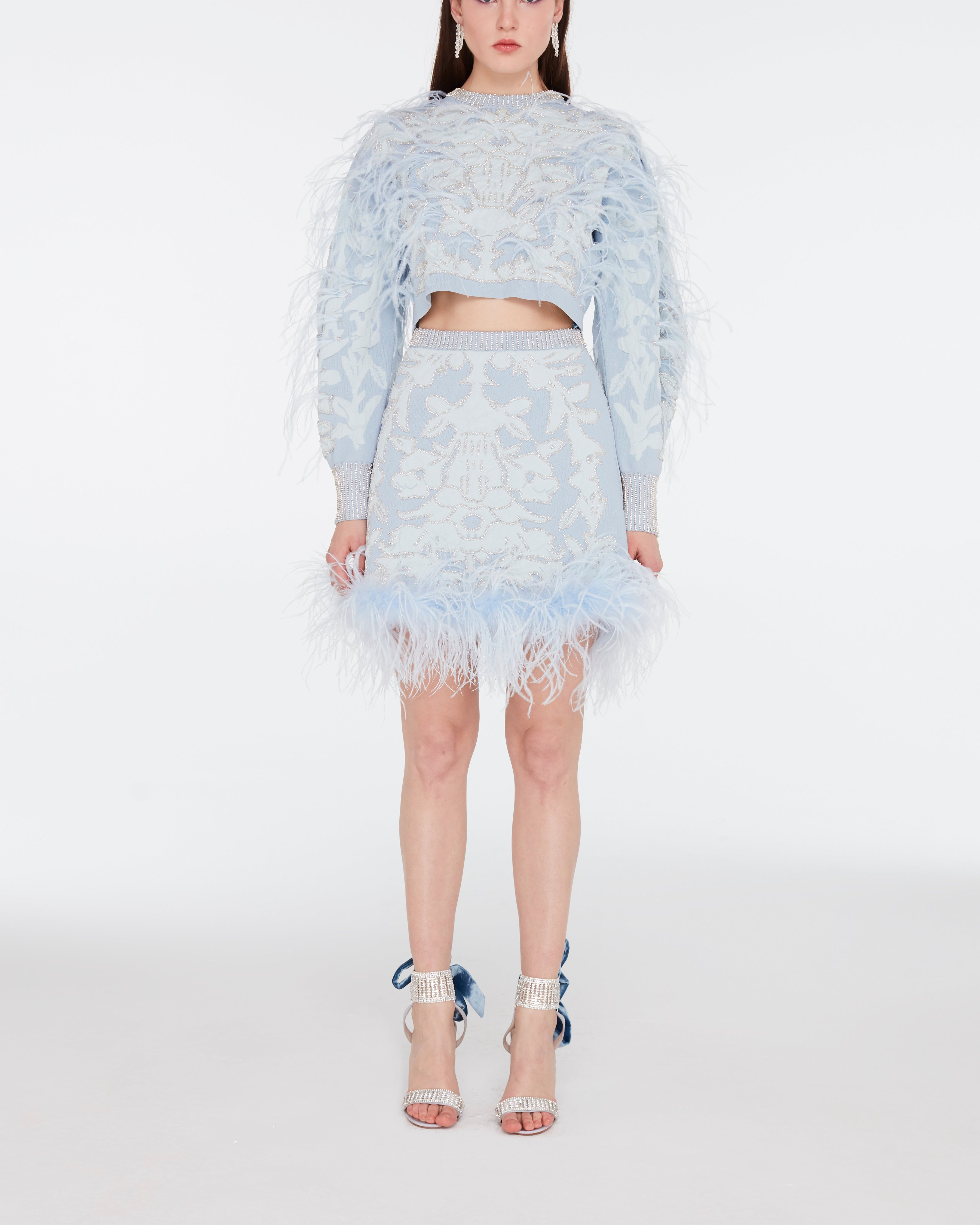 Beaded Feather Embellished Mini Skirt – RAISA VANESSA INT