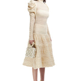 Seouined Knit Turtle Neck Midi Dress