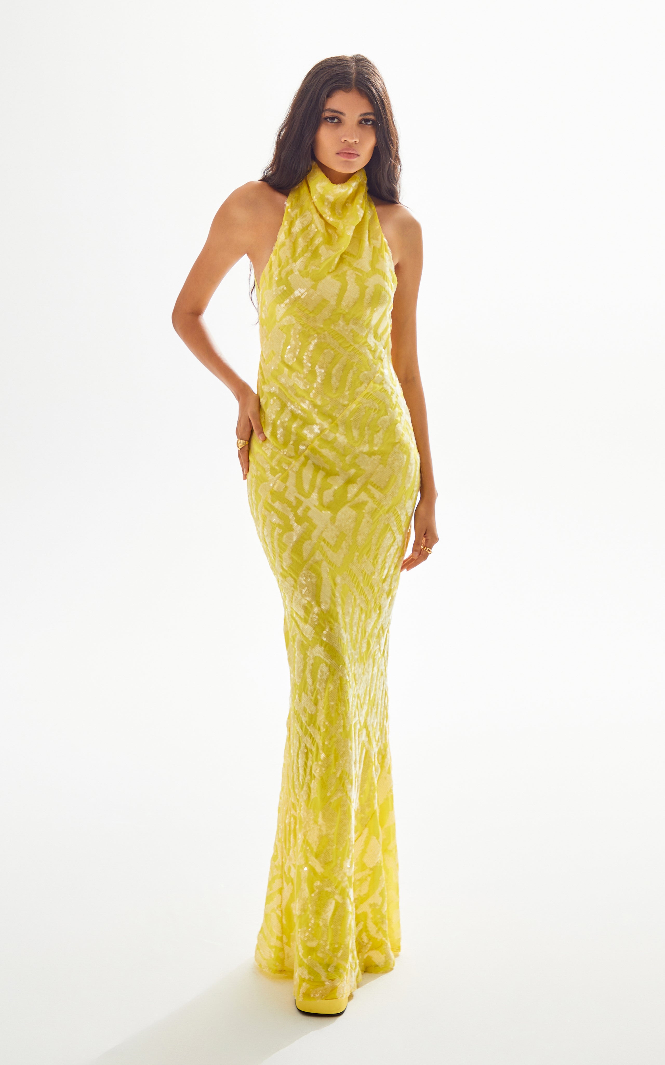 Lemon Turtle Neck Maxi Dress with Patterned Sequin Details and Open Ba RAISA VANESSA INT Lemon Turtle Neck Maxi Dress with Patterned Sequin Details and Open Ba RAISA VANESSA INT