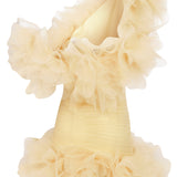 One Shouldered Draped Organza Mini Dress