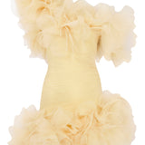 One Shouldered Draped Organza Mini Dress