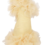 One Shouldered Draped Organza Mini Dress