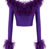 Glittered Knit Corset Top With Feather Details