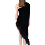 Black One-Shouldered Velvet Dress With Crystal Accessory And Feather Trim