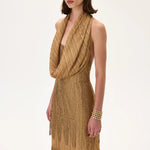 SS26-D-1014-40 raisa_vanessa crystal-printed-cowl-neckline-chiffon-gown-with-laser-cut-skirt