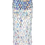 Embroidered Mesh Maxi Skirt